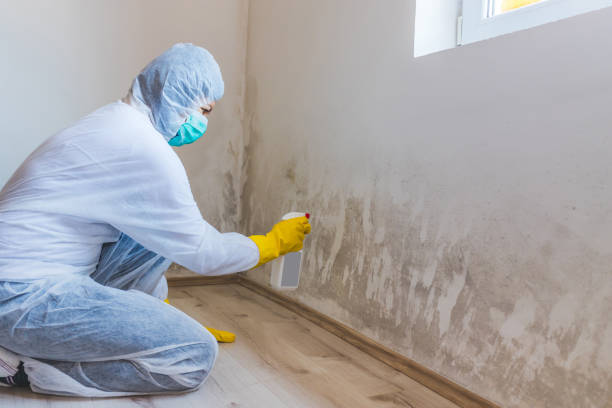Crawl Space Mold Removal in Independent Hill, VA