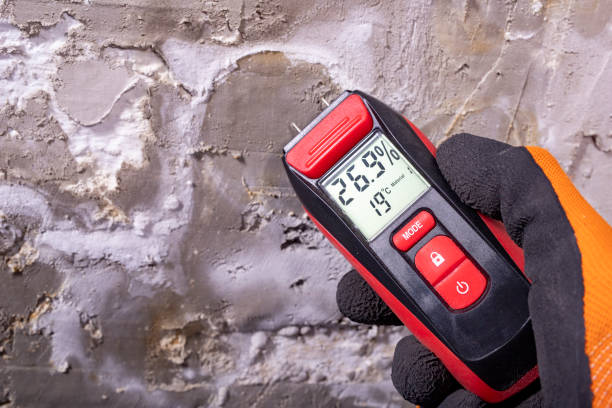 Best Same-Day Mold Removal  in Independent Hill, VA