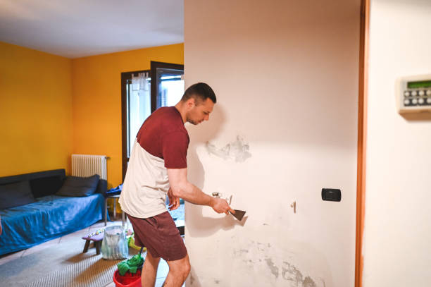 Best Fast Mold Removal  in Independent Hill, VA